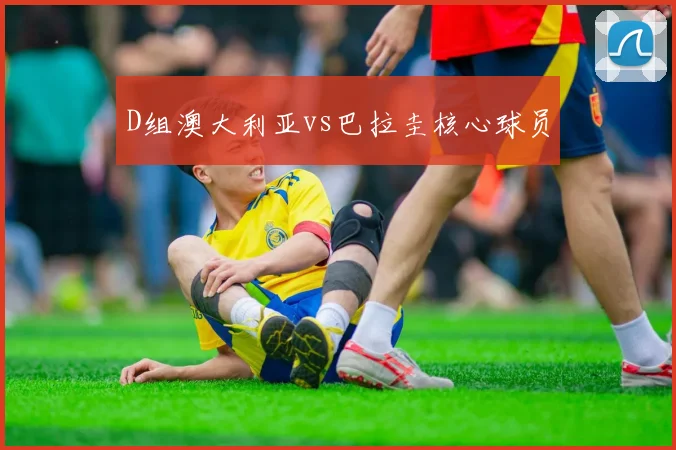 D组澳大利亚vs巴拉圭核心球员