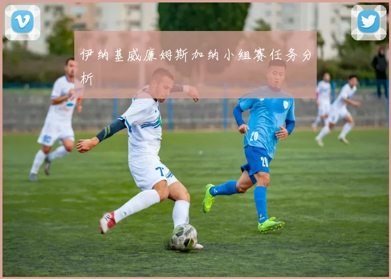 伊纳基威廉姆斯加纳小组赛任务分析