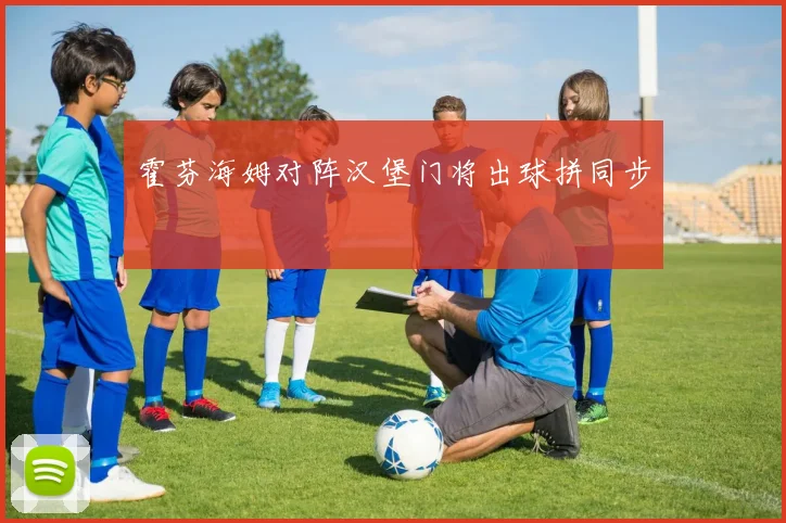 霍芬海姆对阵汉堡门将出球拼同步